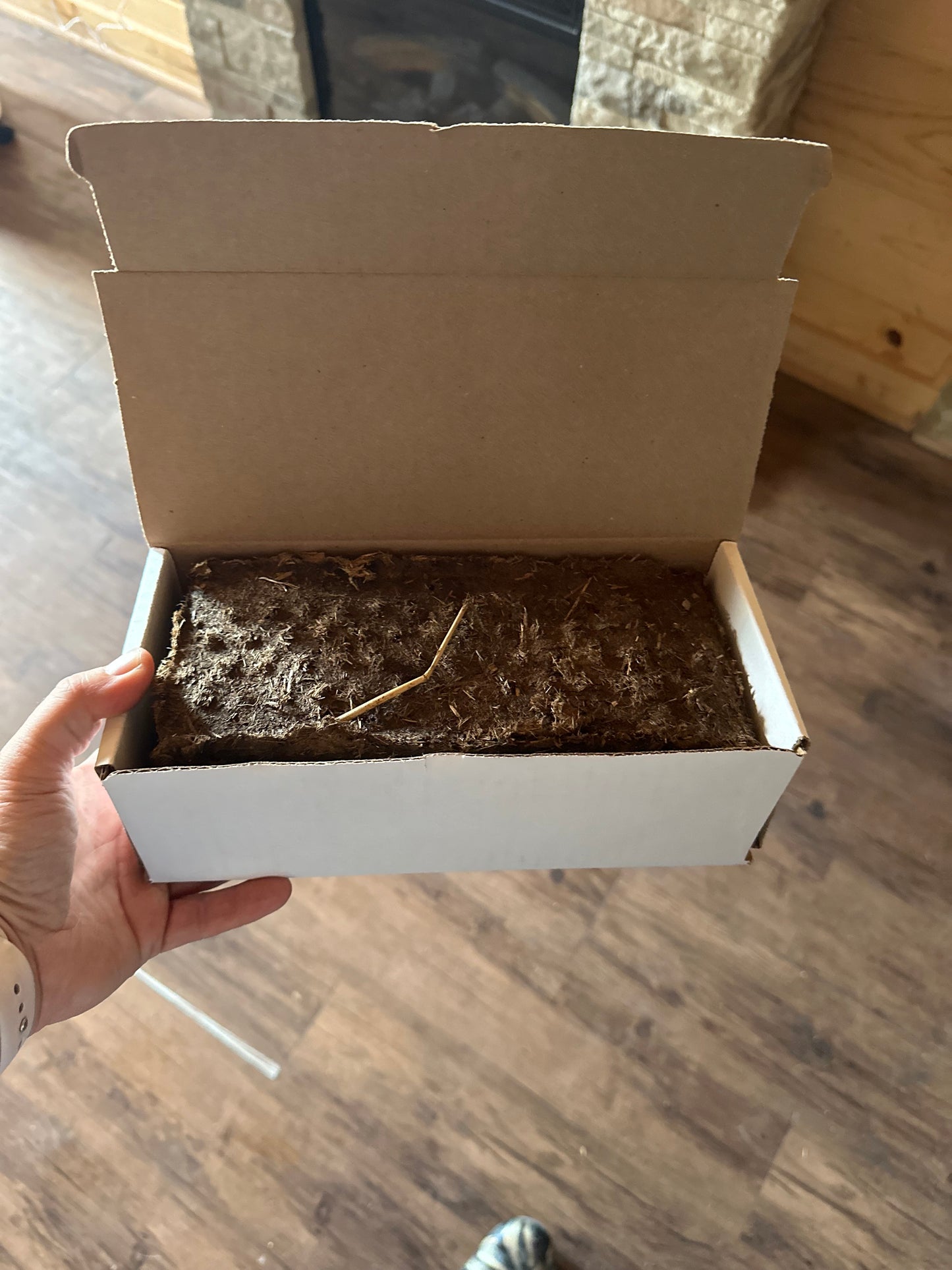 Scented Brick (Flowers)